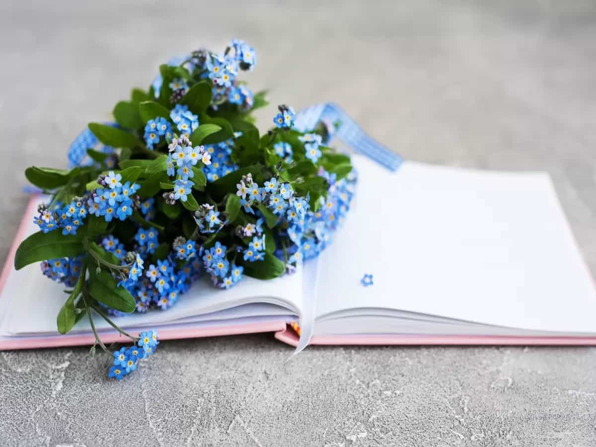 poesie primavera