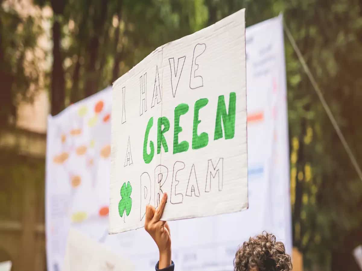 ONU greenwashing