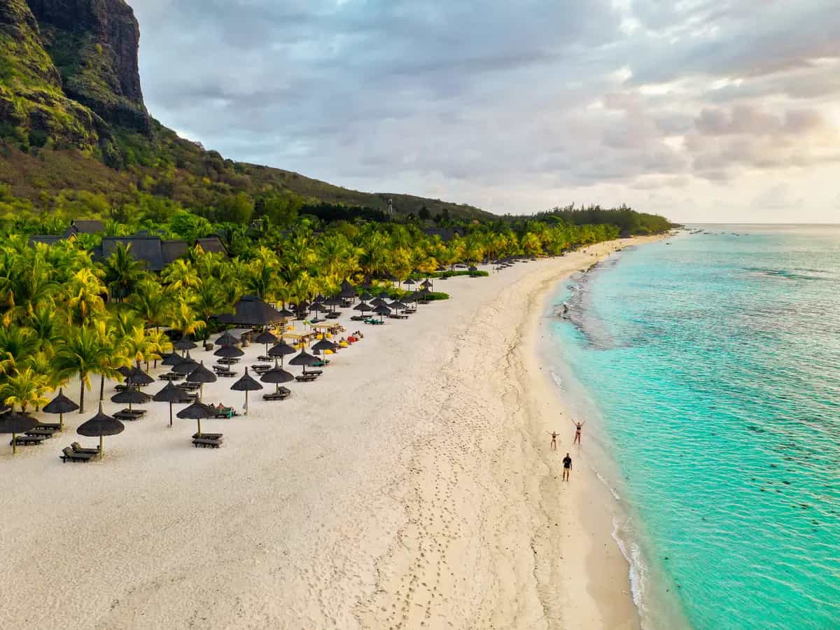 Palma Mauritius estinzione