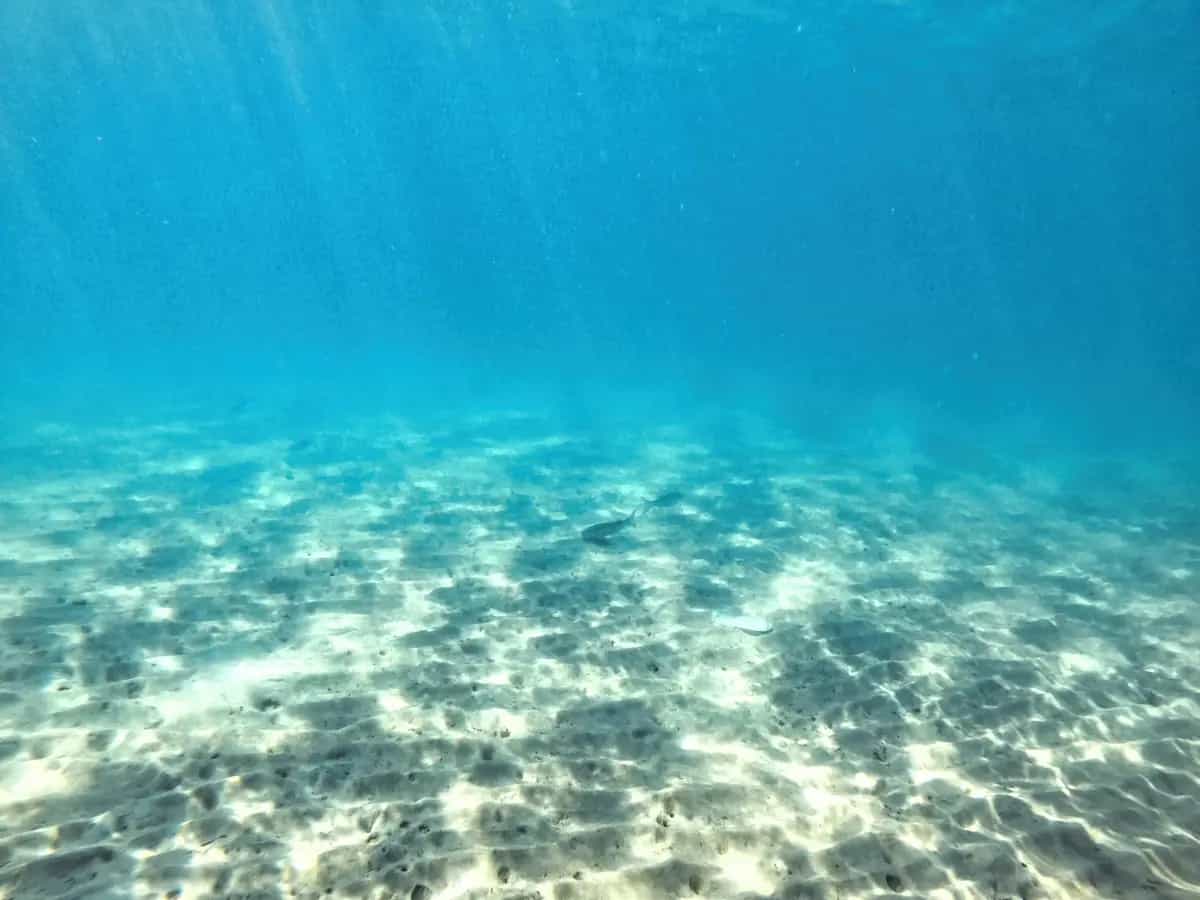 mappatura mare