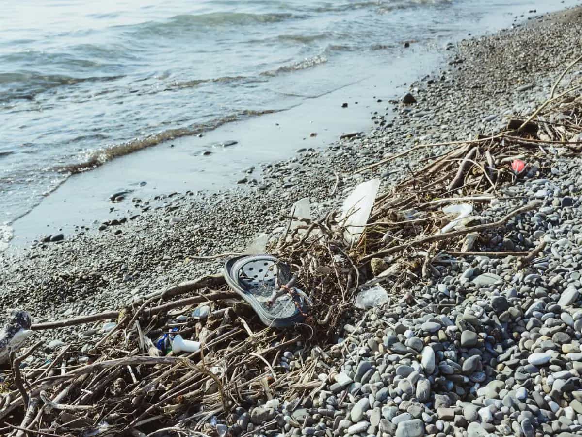 rifiuti sulle spiagge