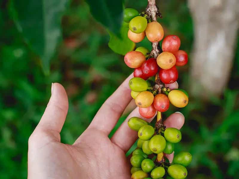 ecosistemas biodiversidad