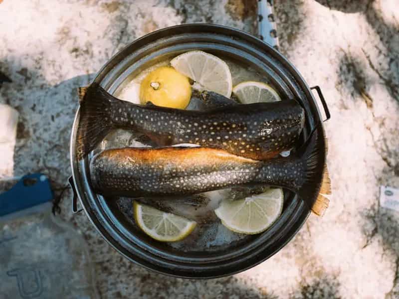 importante cambiar forma comemos pescado