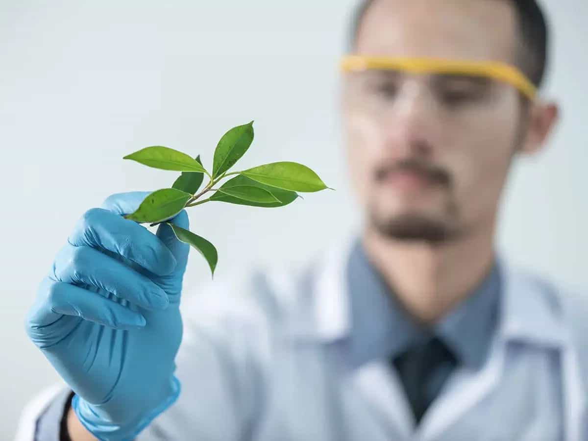 Què son los biopolimeros