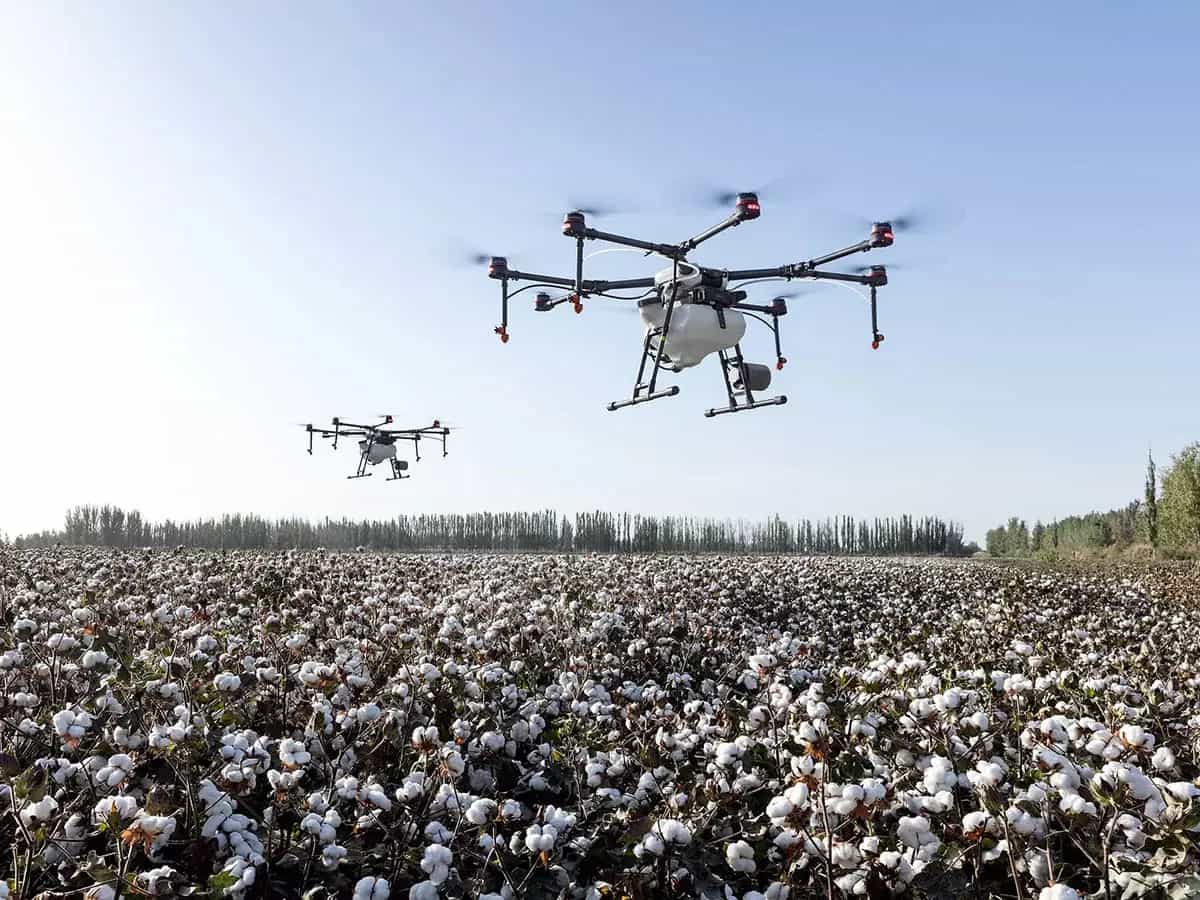 5G ayudará la agricultura orgánica