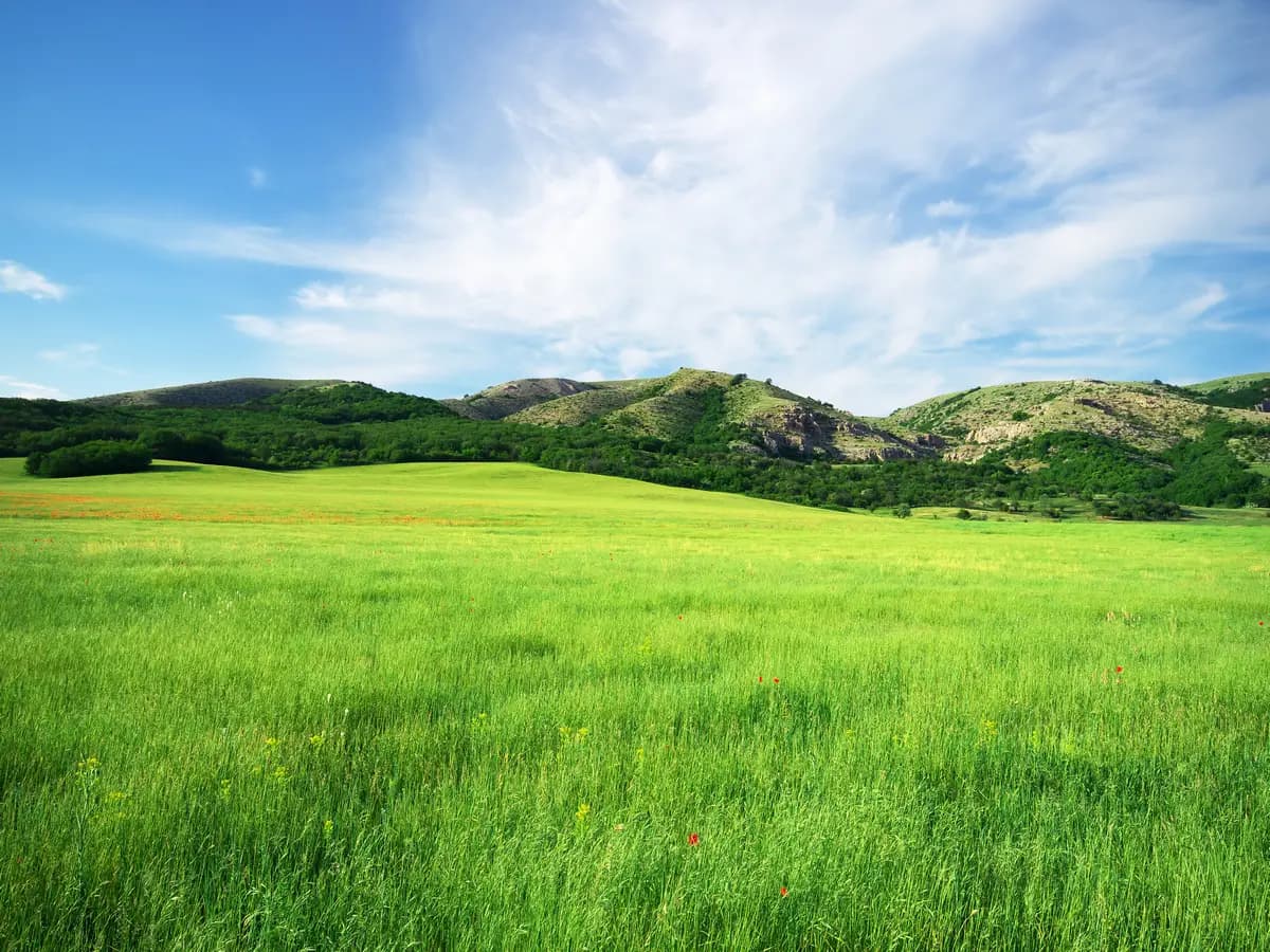 Prati stabili, una risorsa per la biodiversità e l’allevamento