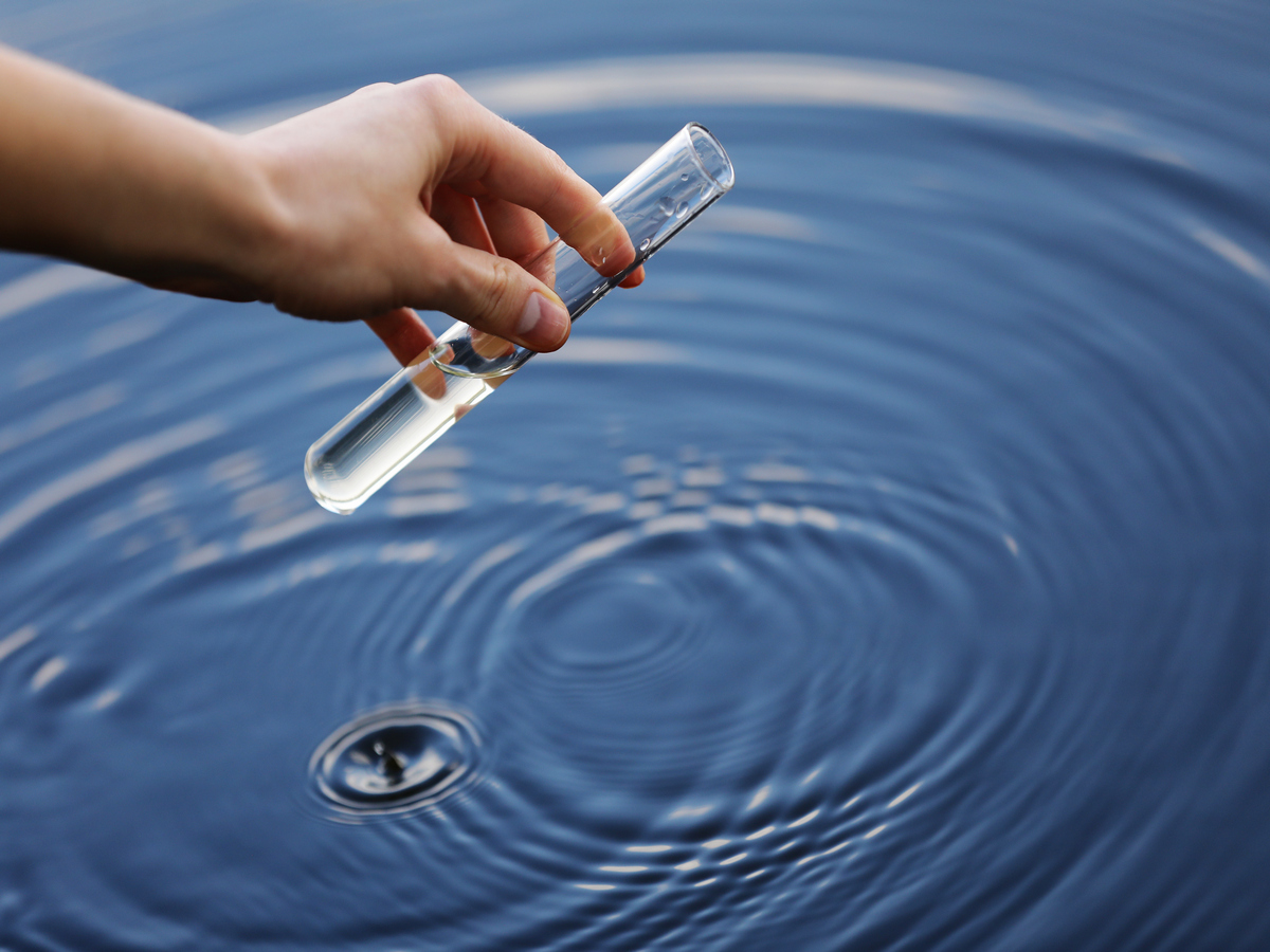 PFAS, i batteri alleati dell'uomo per distruggere i pericolosi composti