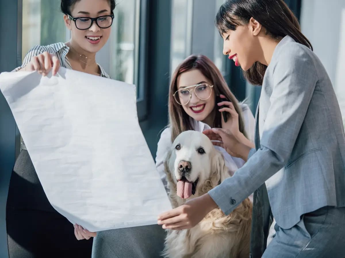 cane ufficio pro contro