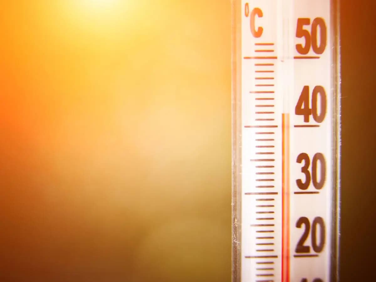 Ondate di calore: in Europa nel 2022 record di morti