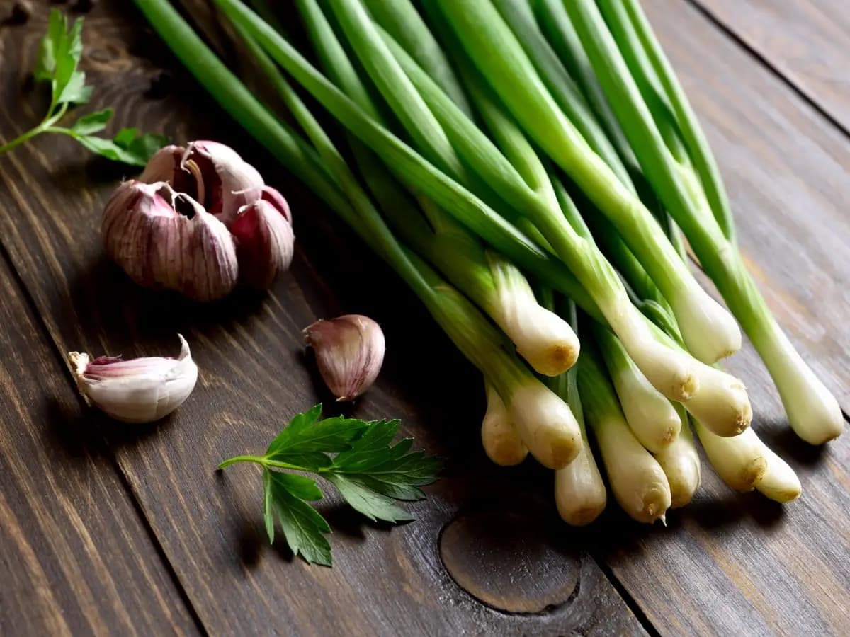 alimenti ricchi probiotici