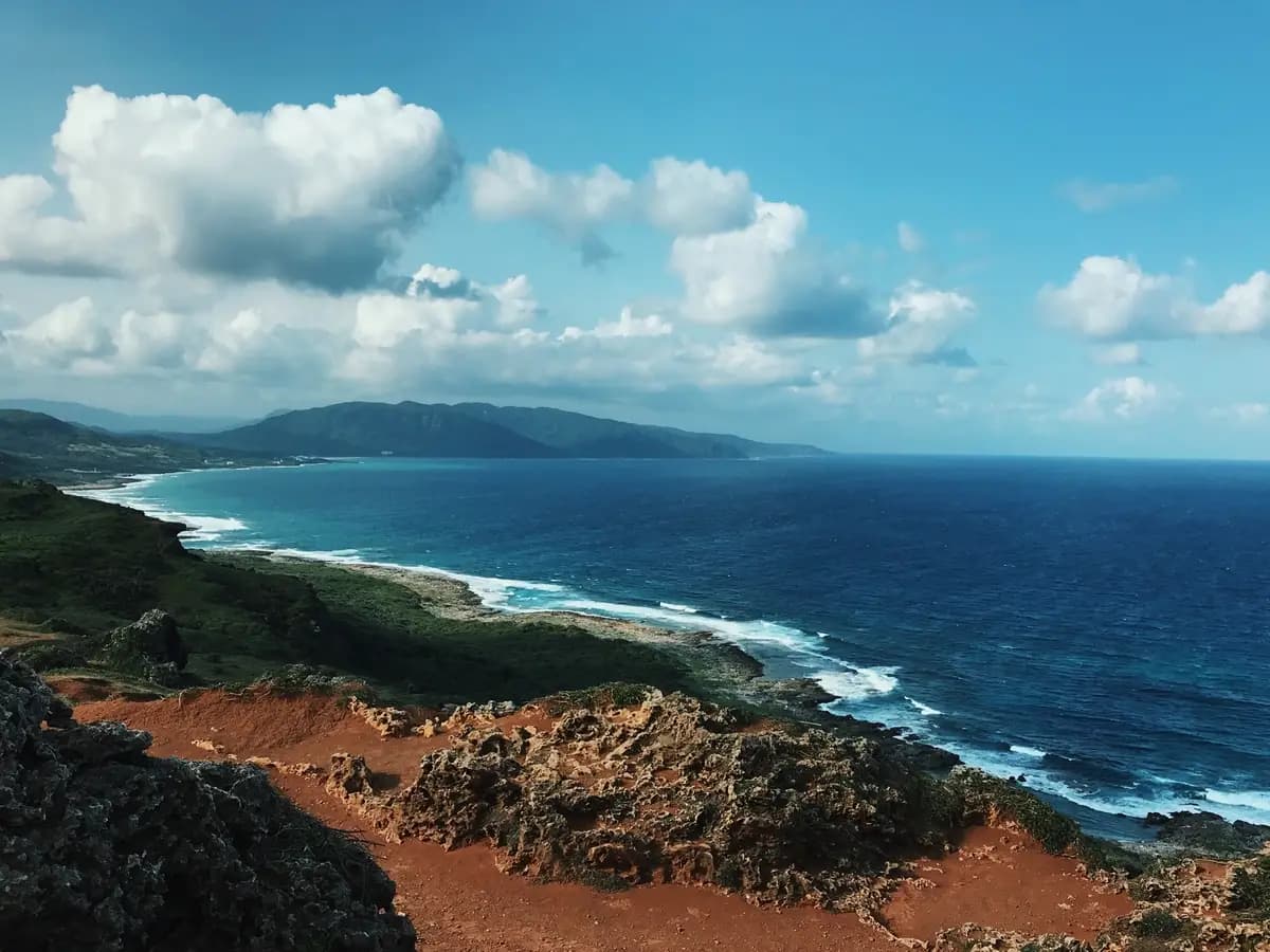 Un nuovo ecosistema nell’Oceano Pacifico: la scoperta degli scienziati