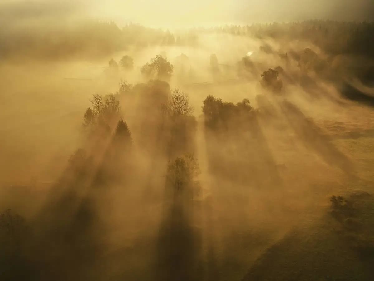 “Settembre”, la poesia di Vittorio Sereni per l’arrivo dell’autunno