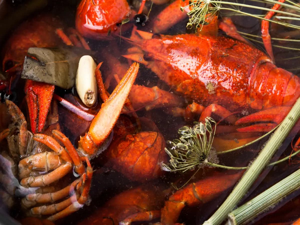 Dalla lavorazione degli scarti dei crostacei alla cosmesi