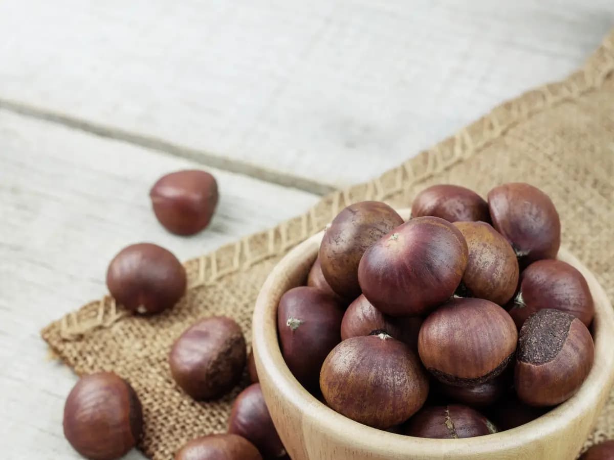 come conservare castagne a lungo