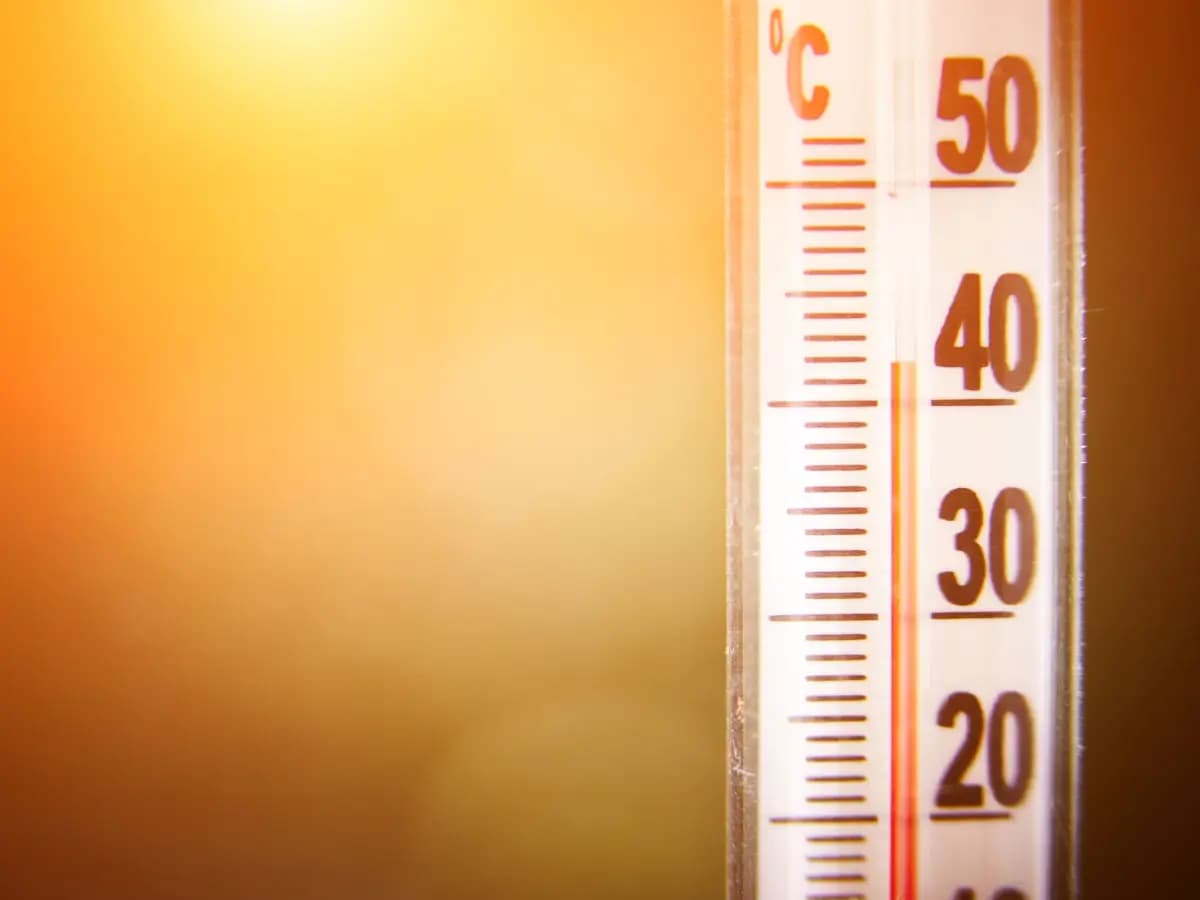 riscaldamento globale alcol