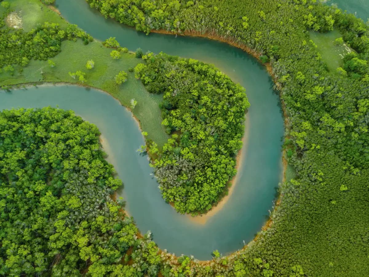amazzonia siccita incisioni
