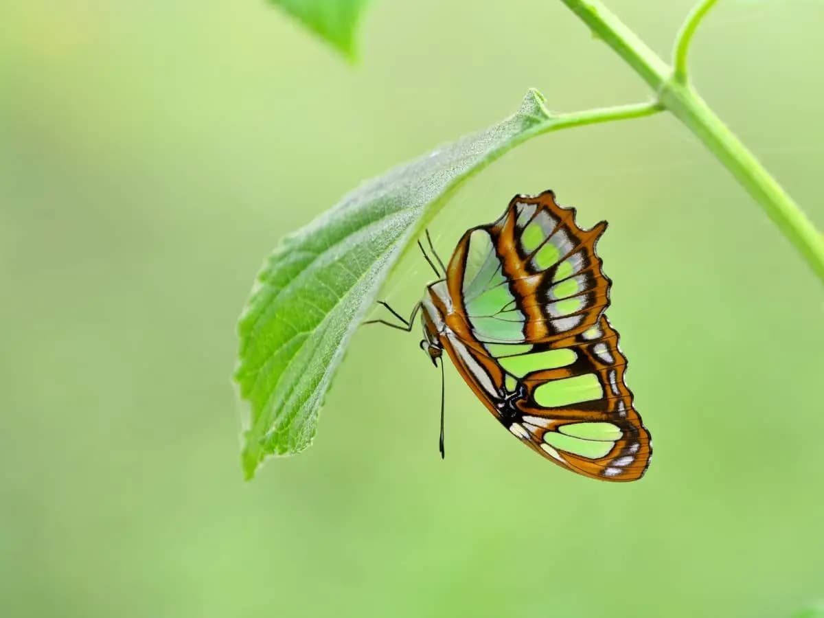 Just Fashion Transition 2023: tutti i numeri della transizione green nella moda