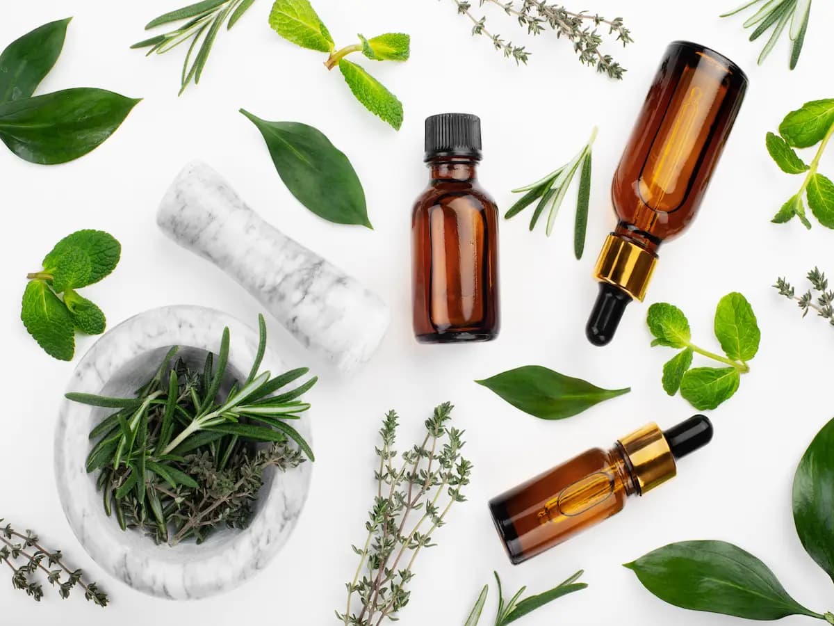 Olio 31: cos'è e a cosa serve