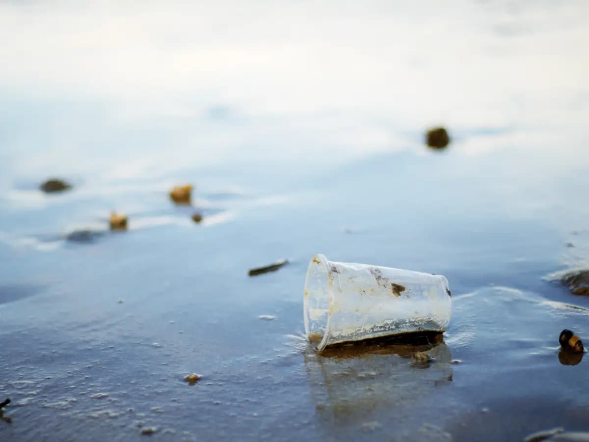 plastica riciclata mare enea