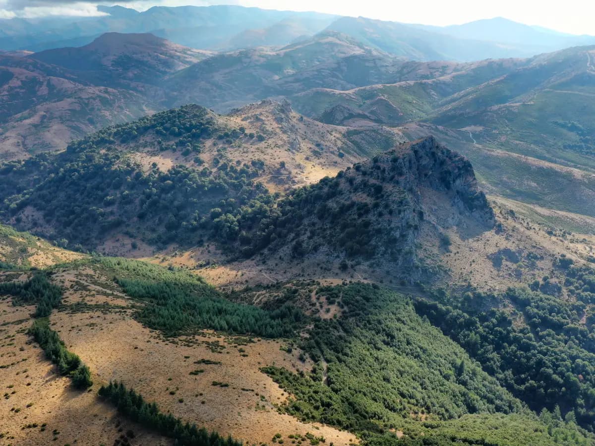 Parco Italia: 22 milioni di nuovi alberi entro il 2040