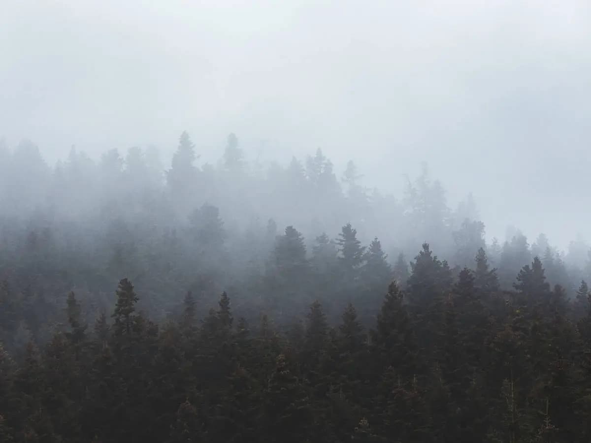 Le più belle citazioni sulla nebbia