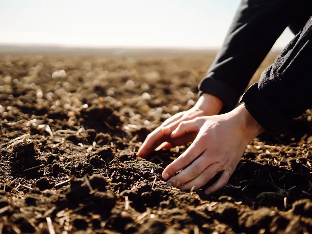 Suolo, una soluzione per contrastare i cambiamenti climatici