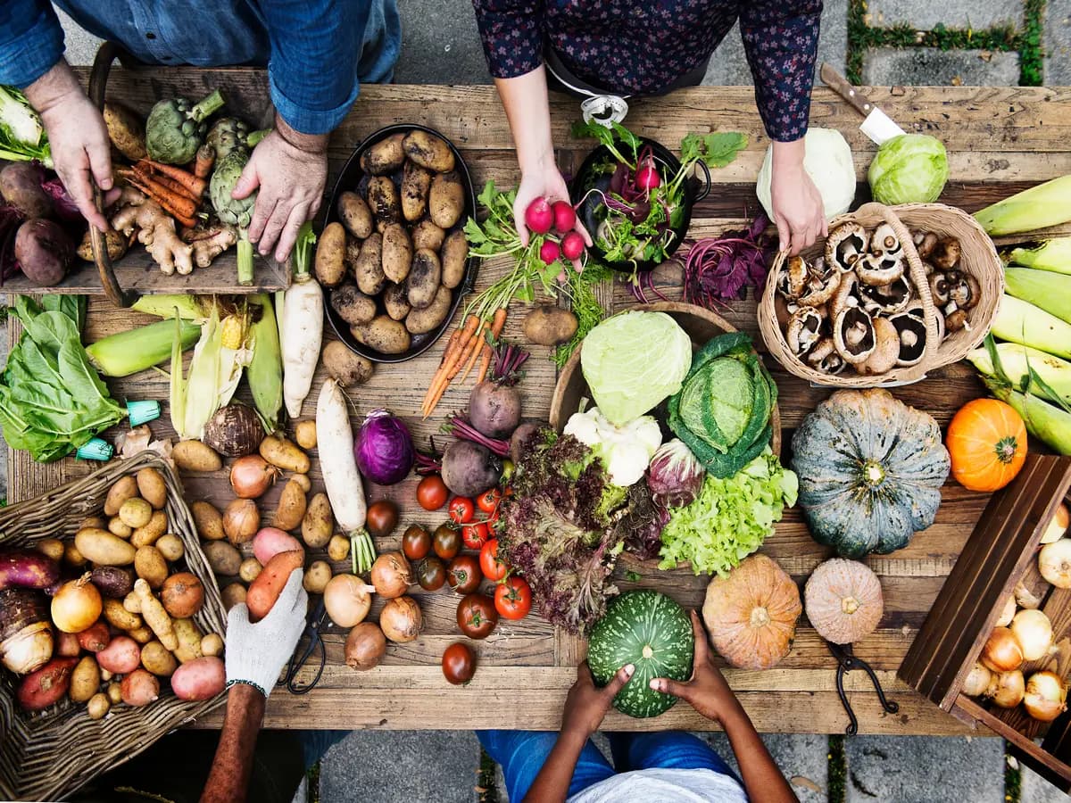 Insicurezza alimentare: che cosa è e dove è in diminuzione