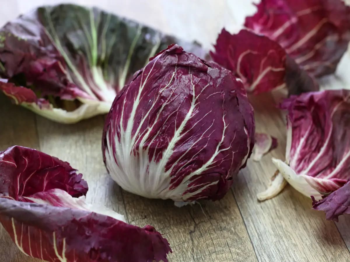 Radicchio, quali sono le varietà?