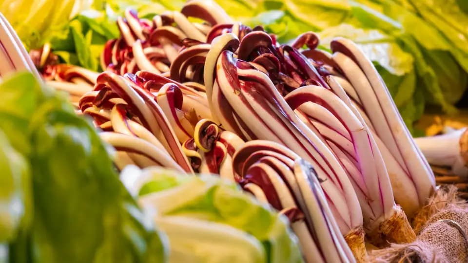 Radicchio, quali sono le varietà?