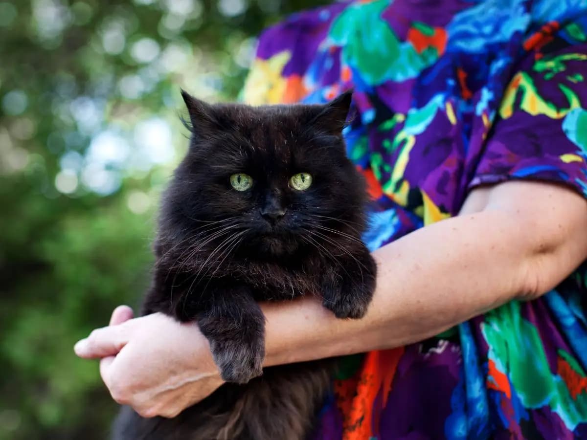 Giornata Anti Superstizione: stavolta i protagonisti sono gli animali
