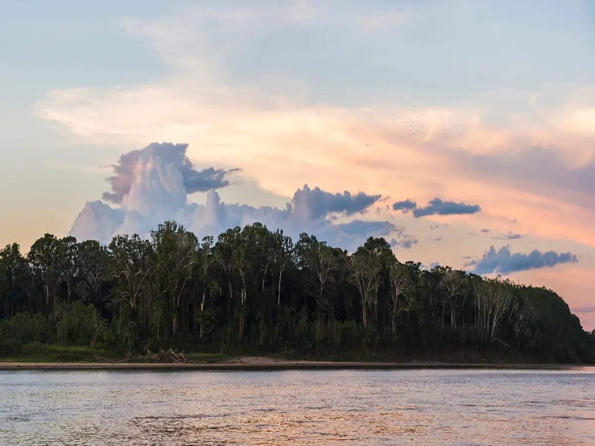 Un fossile di delfino gigante scoperto in Amazzonia