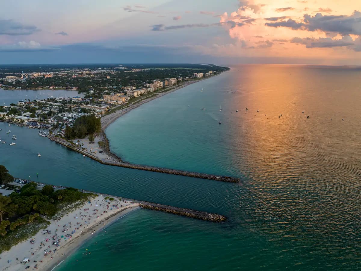 Pesce sega a rischio di estinzione in Florida