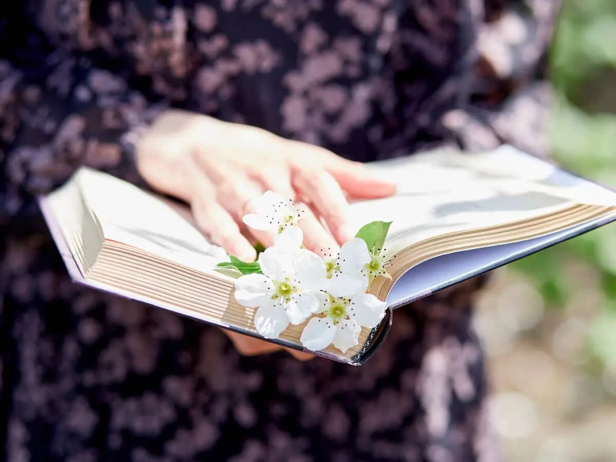 Le poesie più famose sull’estate