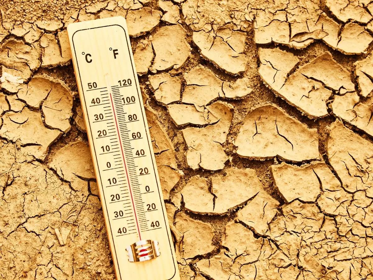 Effetti del cambiamento climatico, cosa sta succedendo in Italia