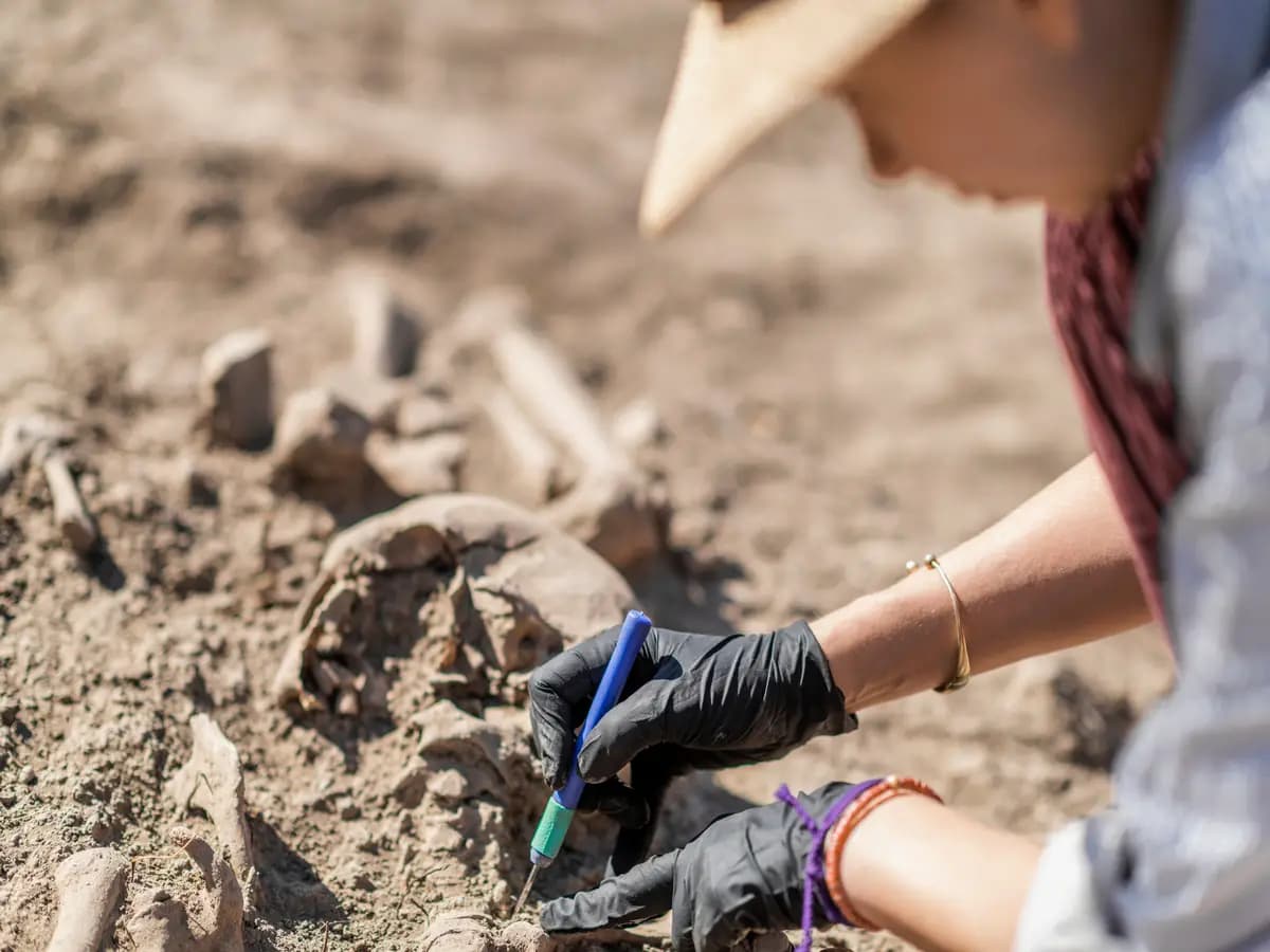 Scoperto un antico coccodrillo simile ad un armadillo