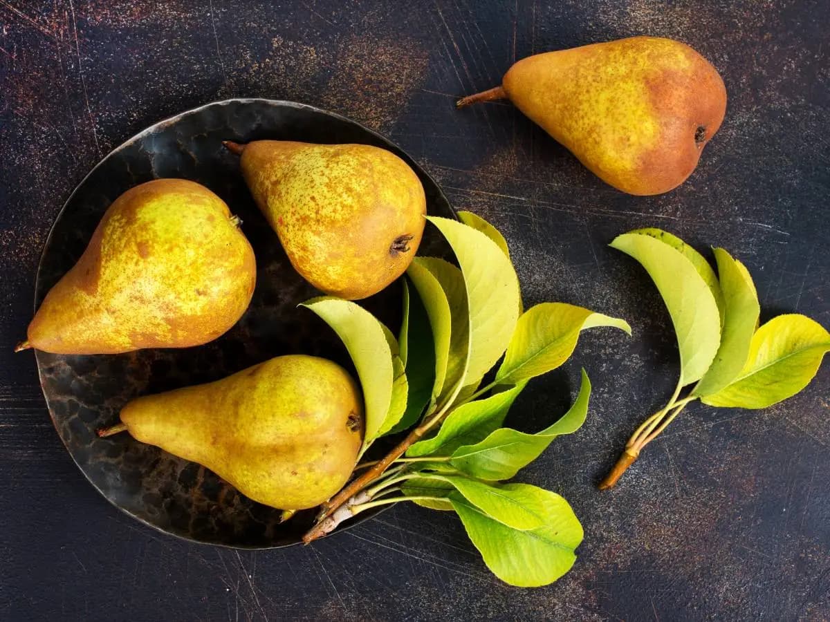 Pere, tutti i benefici del frutto