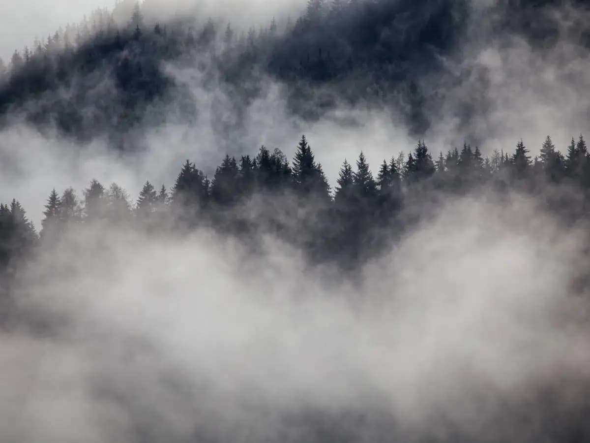 Le poesie più belle sulla nebbia