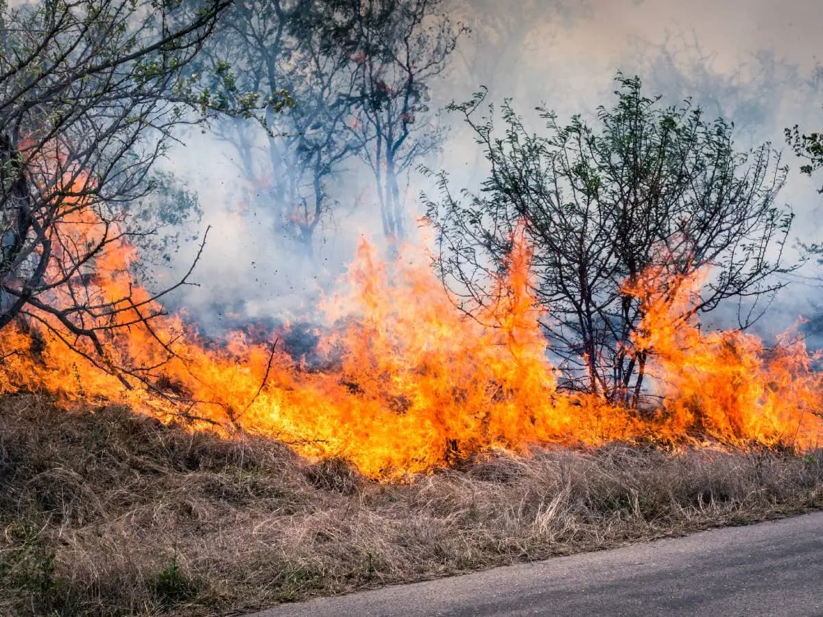Inquinamento da incendi, nel mondo uccide 1,5 milioni di persone all’anno