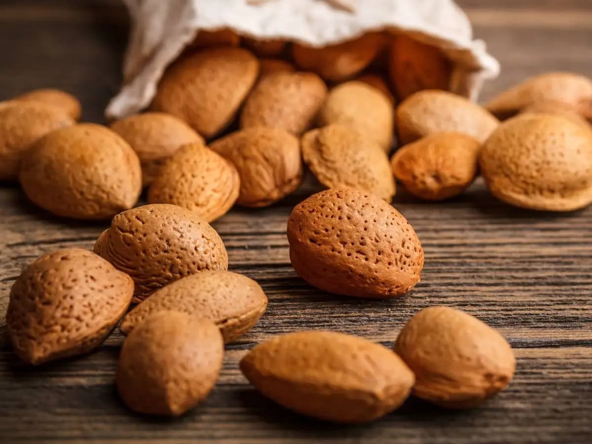 Mandorle, proprietà e benefici del frutto
