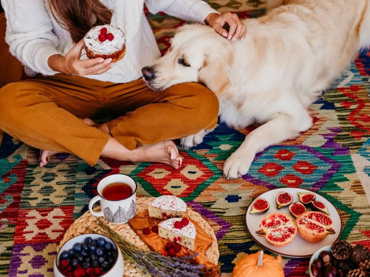 Il cane può mangiare le ciliegie