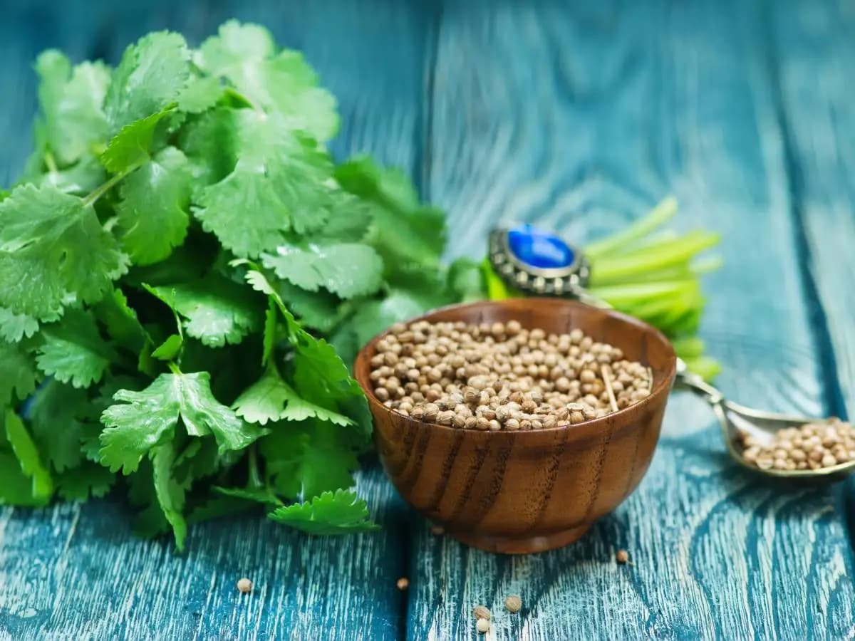 Coriandolo, proprietà e benefici