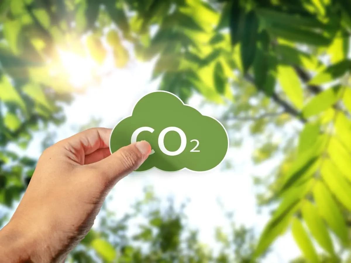 Emissioni di CO2, per l’Europa obiettivo riduzione del 90 per cento al 2040