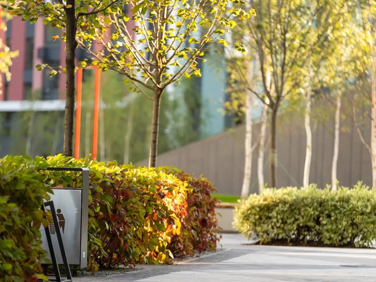 Parco urbano più esteso del mondo, presto un nuovo primato