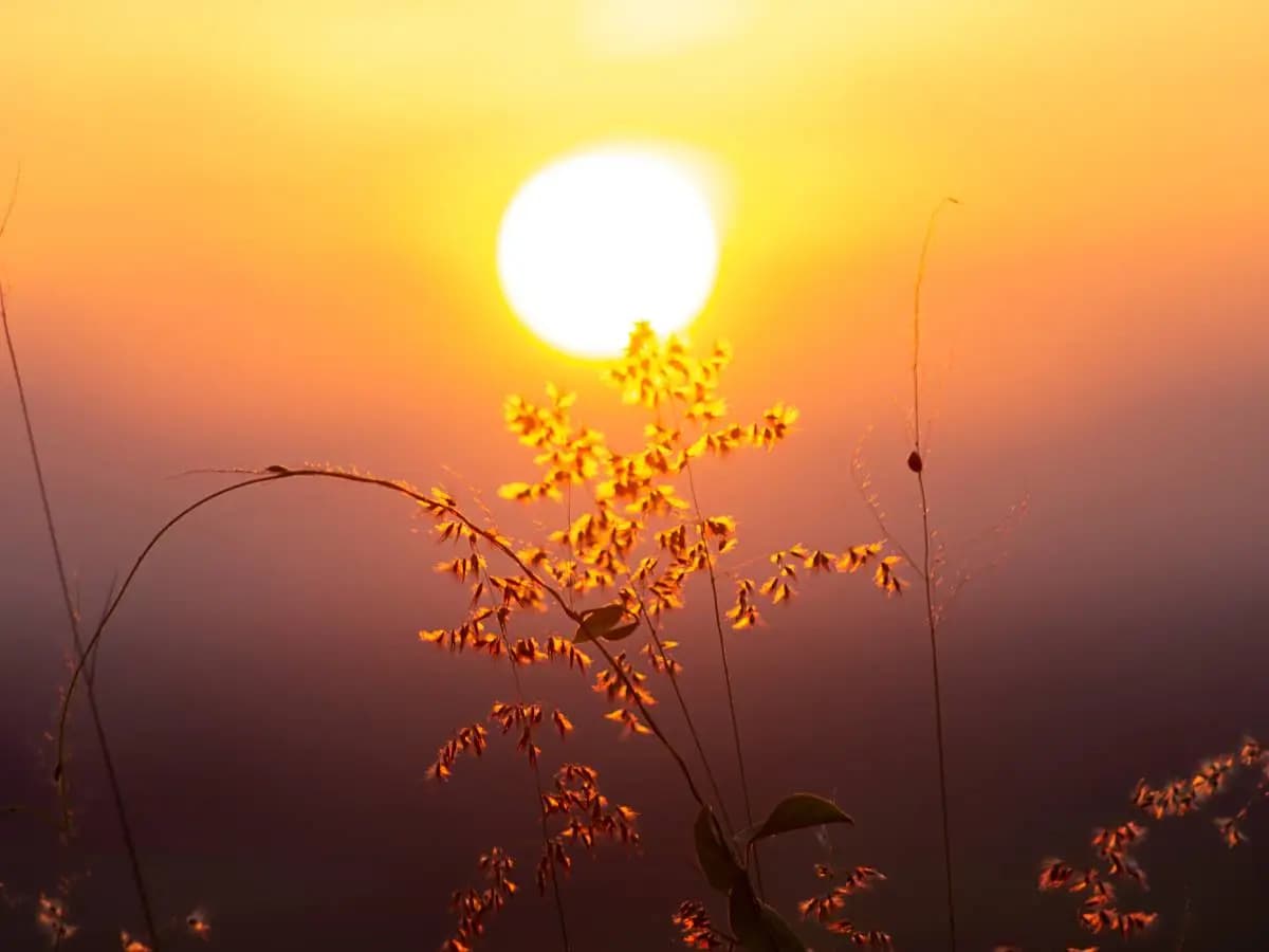 Le poesie più famose sul Sole