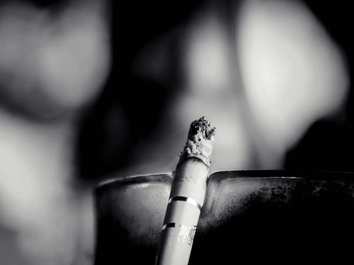 Quanti fumatori ci sono nel mondo e qual è l’impatto ambientale del tabacco