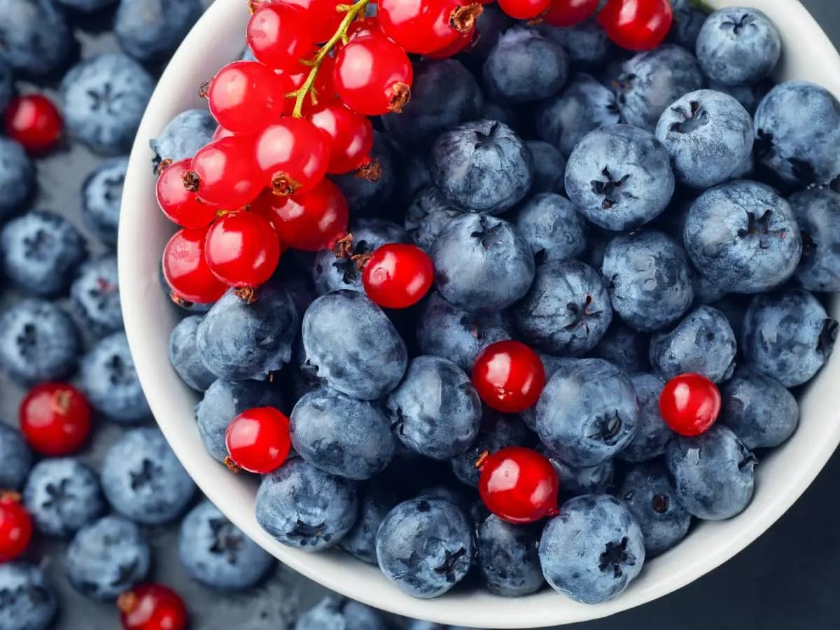 La differenza tra mirtillo e ribes nero