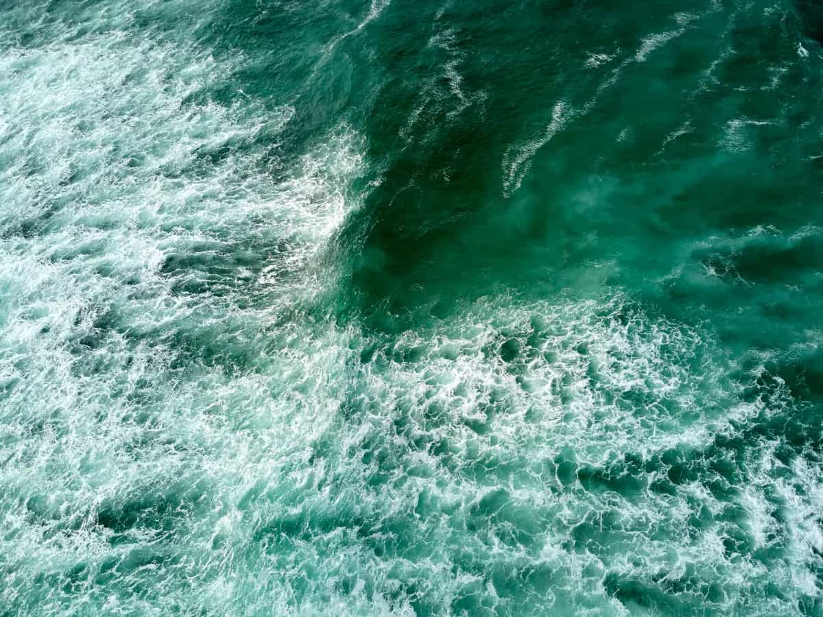 Oceani, aumenta la temperatura delle acque e il rischio di estinzione