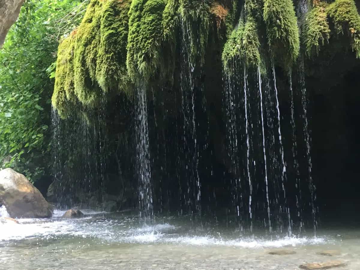 Cascate Capelli di Venere, un’oasi verde nel Cilento