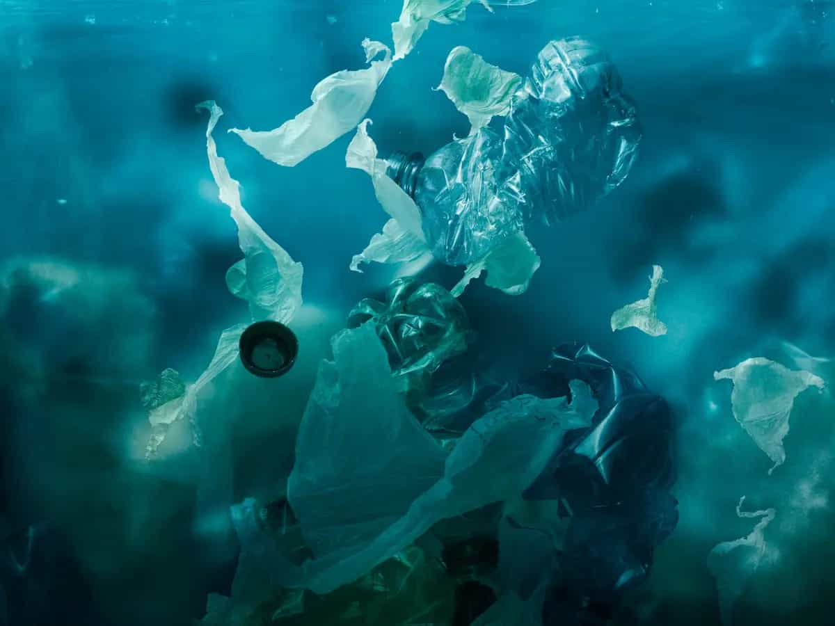 Plasticene, l’era della grande minaccia della plastica