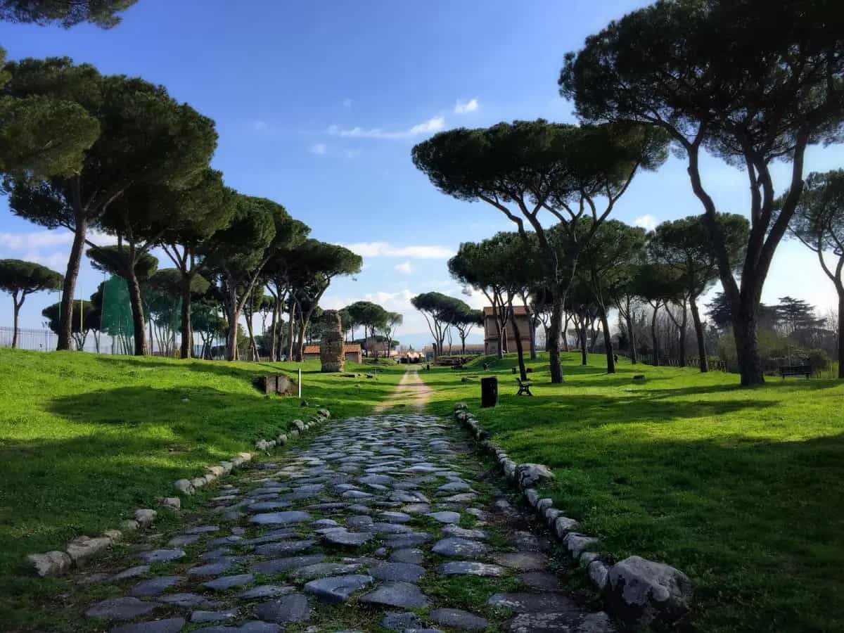 Giardino dei Patriarchi, nel parco di Roma gli alberi più antichi d'Italia
